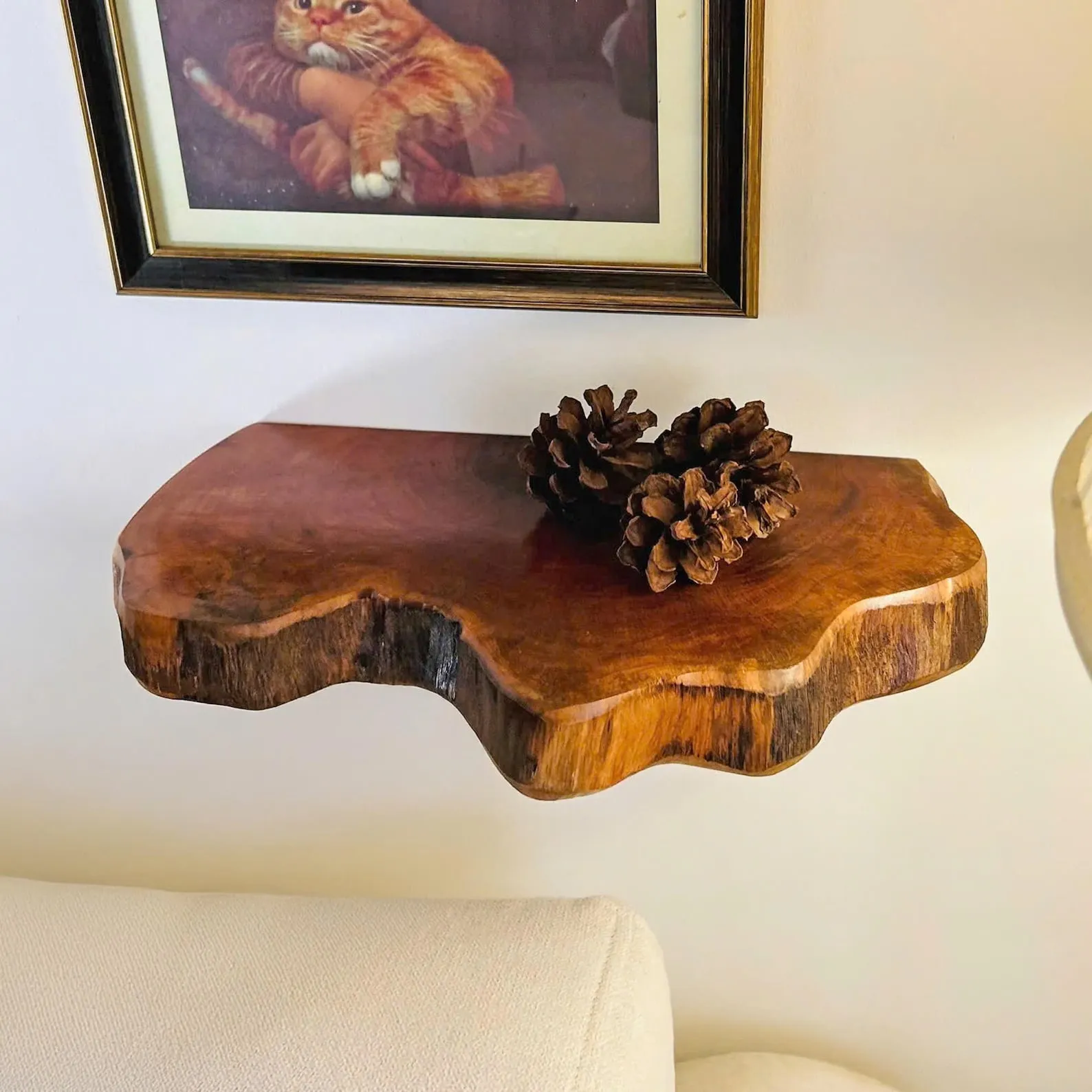 Rustic Solid Wood Floating Wall Bookcase Display Shelf