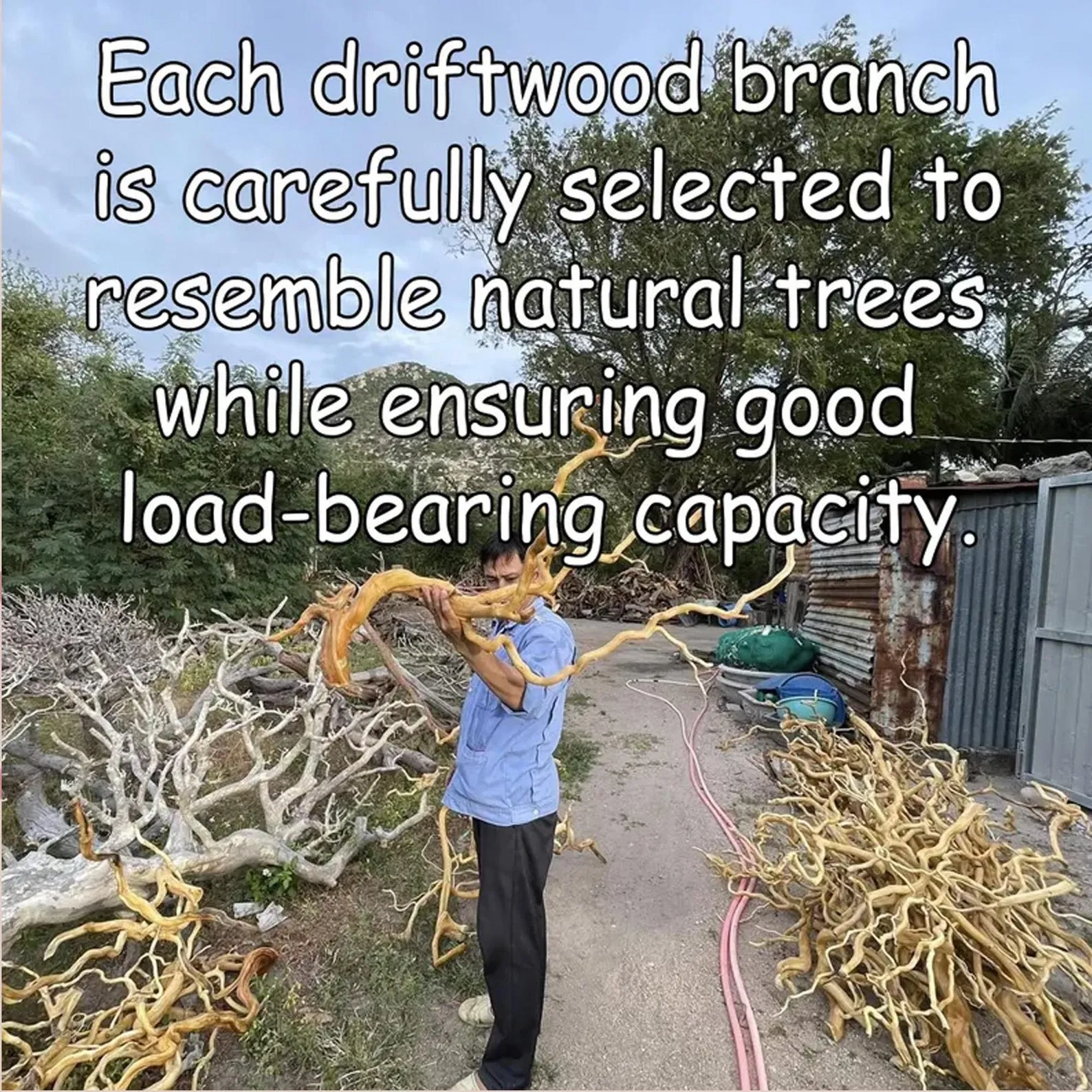 Rustic Driftwood Tree Design Floating Wall Bookcase Unit - Image 6